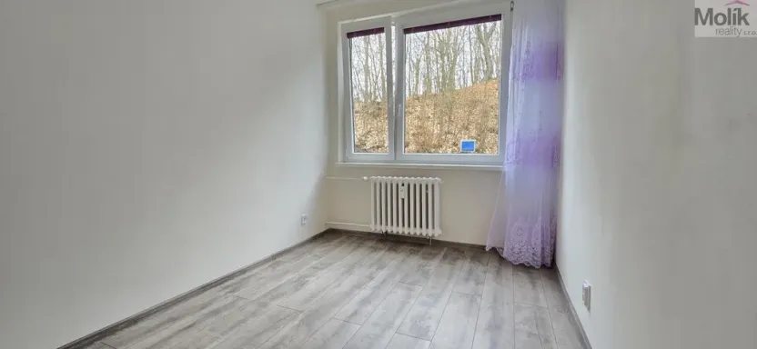 Pronájem bytu 3+1, Litvínov - Hamr, Na Kopci, 66 m2