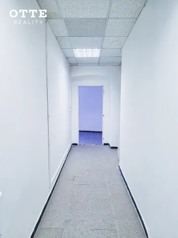 Pronájem obchodního prostoru, Plzeň, Zborovská, 53 m2