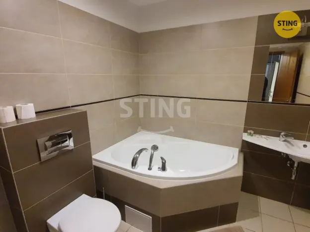 Pronájem bytu 1+kk, Třinec, Pod břehem, 26 m2