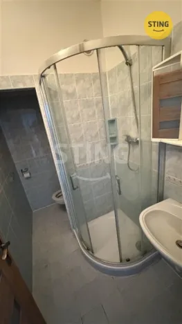 Pronájem bytu 1+kk, Třinec, Pod břehem, 26 m2