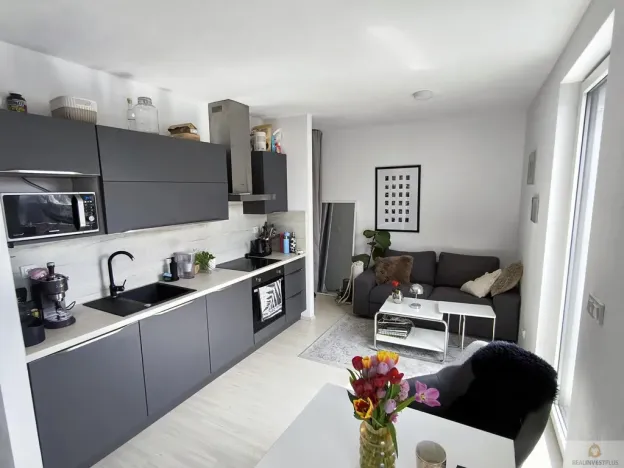 Pronájem bytu 1+kk, Olomouc, Eduarda Hamburgera, 32 m2