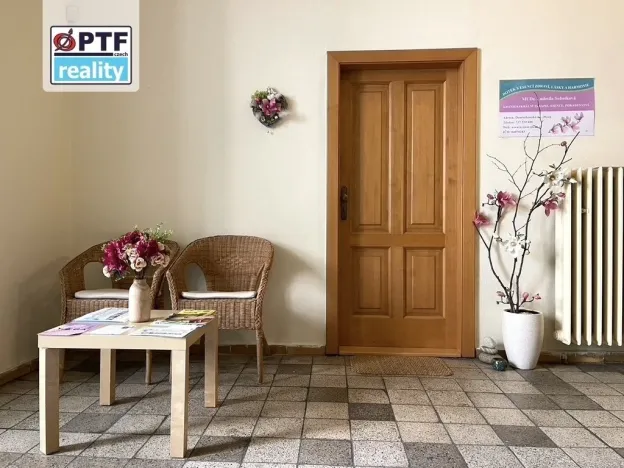 Pronájem obchodního prostoru, Plzeň, Dominikánská, 60 m2
