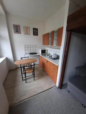 Pronájem bytu 1+kk, Ústí nad Labem - Klíše, Palachova, 40 m2