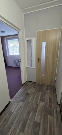 Pronájem bytu 1+1, Jihlava, Březinova, 33 m2