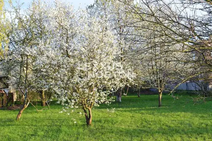 Prodej pozemku pro bydlení, Praha - Ďáblice, Na blatech, 2573 m2