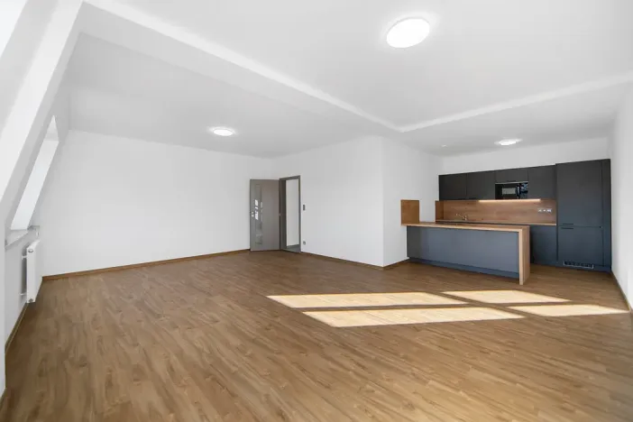 Pronájem bytu 1+kk, Plzeň - Severní Předměstí, Bolevecká, 55 m2
