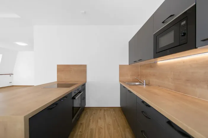 Pronájem bytu 1+kk, Plzeň - Severní Předměstí, Bolevecká, 55 m2