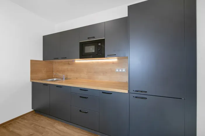 Pronájem bytu 1+kk, Plzeň - Severní Předměstí, Bolevecká, 55 m2