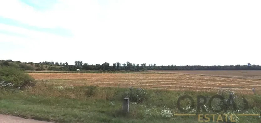 Prodej pole, Březno, 12148 m2