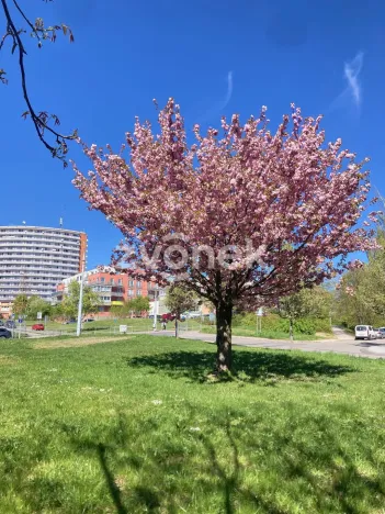 Pronájem bytu 3+1, Zlín, Budovatelská, 69 m2