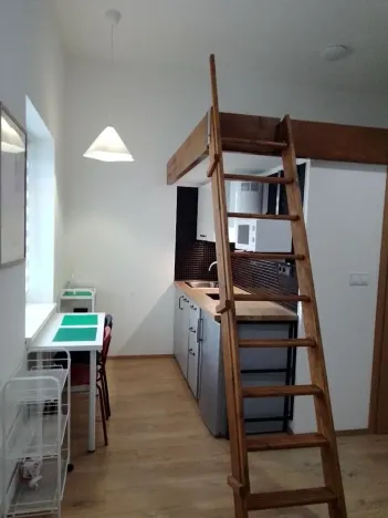 Prodej bytu 1+kk, Praha - Nové Město, Sokolská, 22 m2