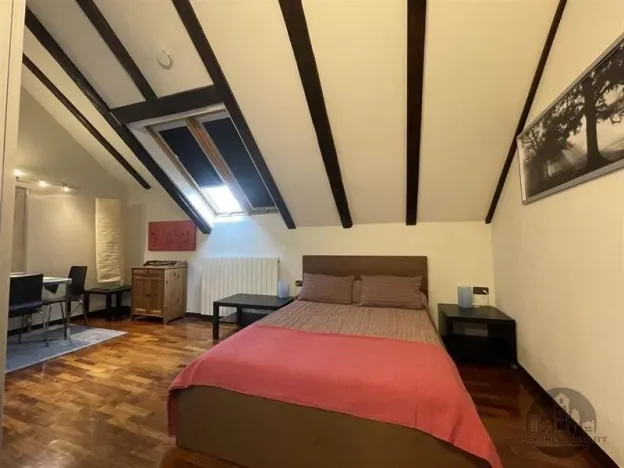 Pronájem bytu 1+kk, Praha - Žižkov, Cimburkova, 37 m2