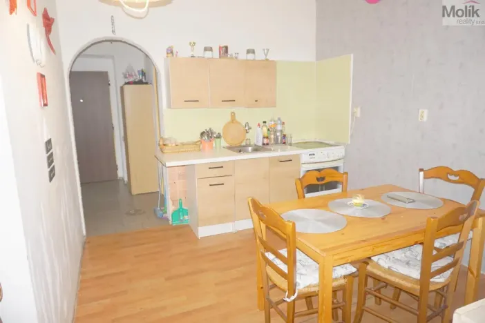 Prodej bytu 2+kk, Louny, Poděbradova, 51 m2