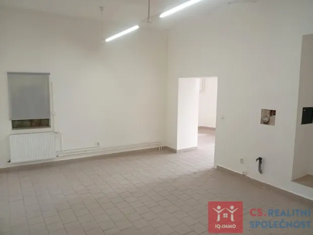Pronájem obchodního prostoru, Znojmo, Vídeňská třída, 46 m2