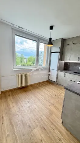 Prodej bytu 1+1, Světlá nad Sázavou, Na Bradle, 33 m2