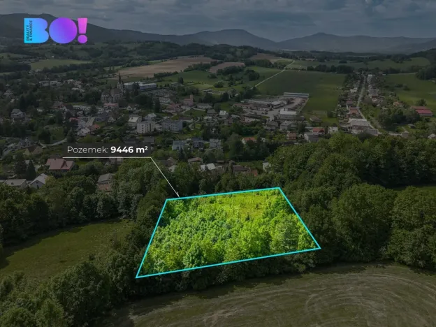 Prodej pozemku pro bydlení, Janovice, 9446 m2
