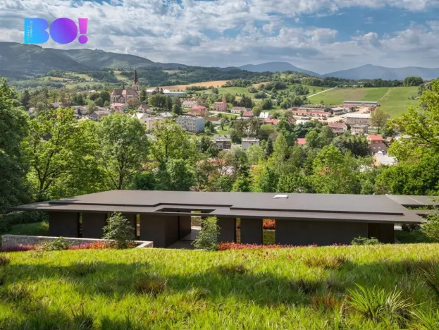 Prodej pozemku pro bydlení, Janovice, 9446 m2