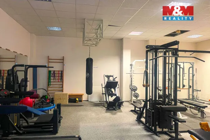Prodej bytu 4+kk, Liberec - Liberec III-Jeřáb, Americká, 103 m2