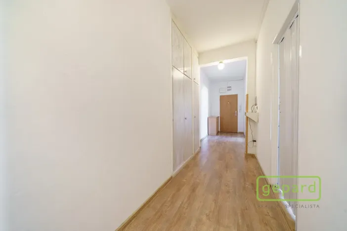 Prodej bytu 2+1, Ostrov, S. K. Neumanna, 64 m2