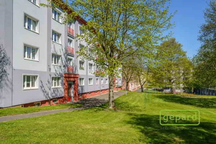 Prodej bytu 2+1, Ostrov, S. K. Neumanna, 64 m2