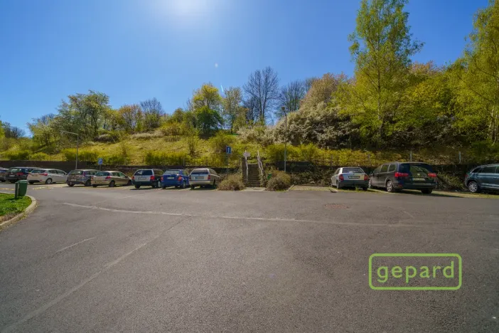 Prodej bytu 2+1, Ostrov, S. K. Neumanna, 64 m2