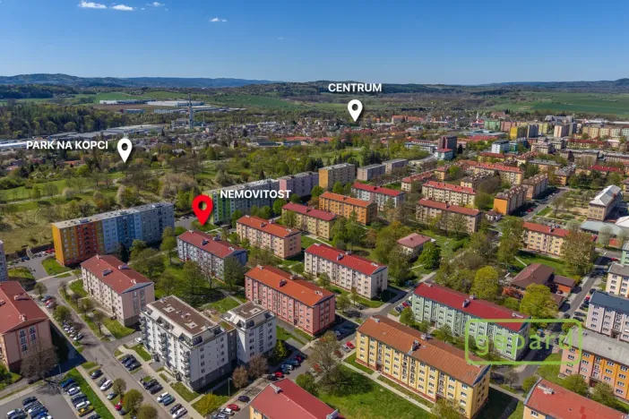 Prodej bytu 2+1, Ostrov, S. K. Neumanna, 64 m2