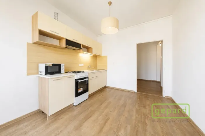 Prodej bytu 2+1, Ostrov, S. K. Neumanna, 70 m2