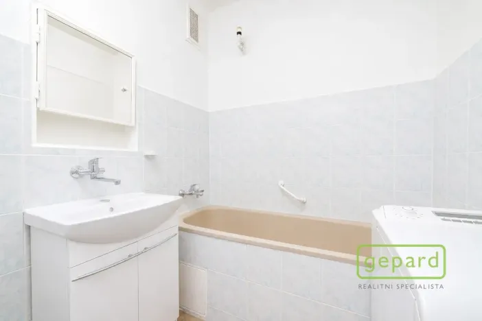 Prodej bytu 2+1, Ostrov, S. K. Neumanna, 70 m2