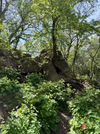Prodej pozemku pro bydlení, Tuchoměřice, Pod Marjánkou, 1090 m2