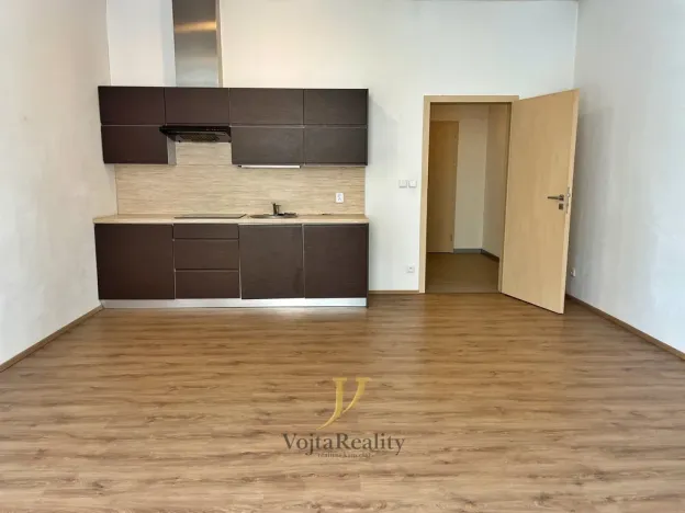 Pronájem bytu 1+kk, Olomouc, Skupova, 31 m2