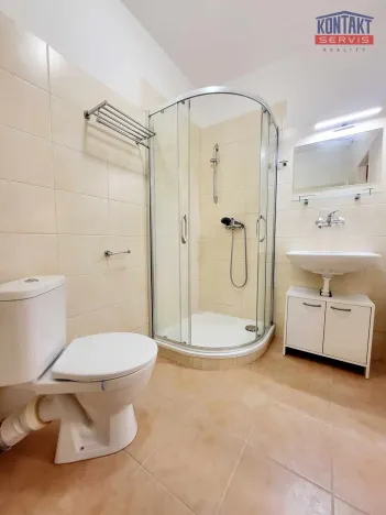 Pronájem bytu 2+kk, České Budějovice - České Budějovice 6, 45 m2