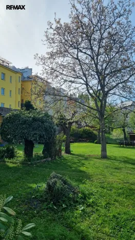 Pronájem bytu 2+kk, Olomouc - Nová Ulice, Před lipami, 51 m2