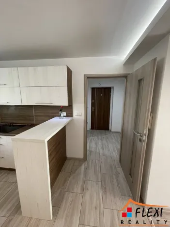 Pronájem bytu 2+kk, Ostrava, Krylovova, 50 m2