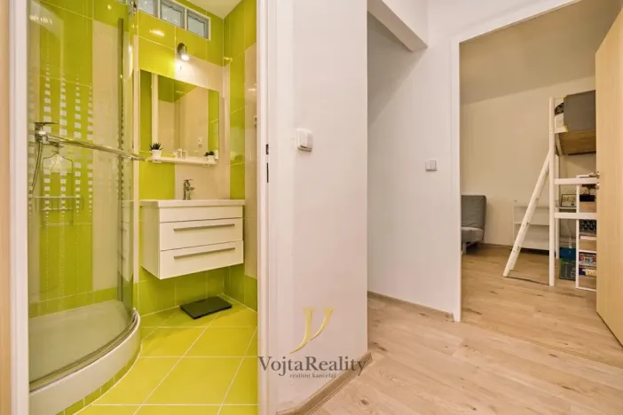 Pronájem bytu 1+1, Olomouc - Nová Ulice, Dělnická, 41 m2