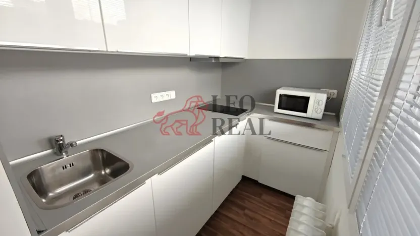 Pronájem bytu 1+kk, Praha - Podolí, Kaplická, 33 m2