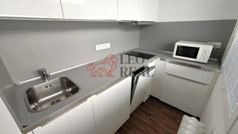 Pronájem bytu 1+kk, Praha - Podolí, Kaplická, 33 m2