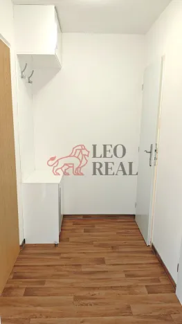 Pronájem bytu 1+kk, Praha - Podolí, Kaplická, 33 m2