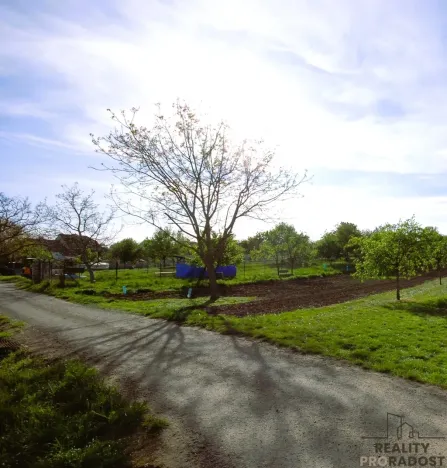 Prodej rodinného domu, Starý Poddvorov, 80 m2