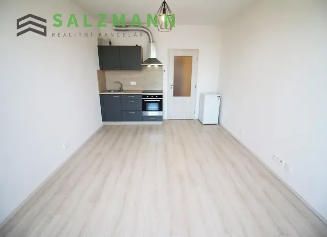 Pronájem bytu 1+kk, Plzeň, Nemocniční, 29 m2