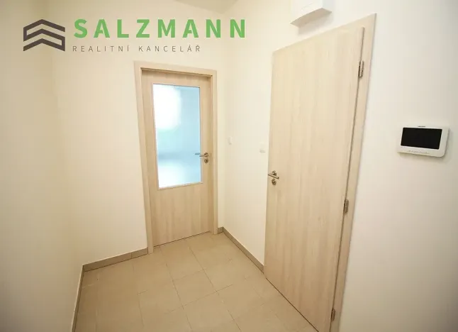 Pronájem bytu 1+kk, Plzeň, Nemocniční, 29 m2