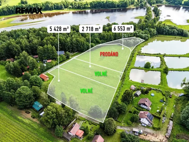 Prodej pozemku, Nová Pec, 9752 m2