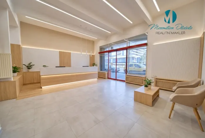 Pronájem obchodního prostoru, Hradec Králové, S. K. Neumanna, 250 m2