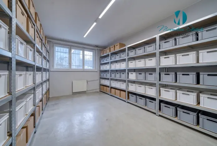 Pronájem obchodního prostoru, Hradec Králové, S. K. Neumanna, 250 m2