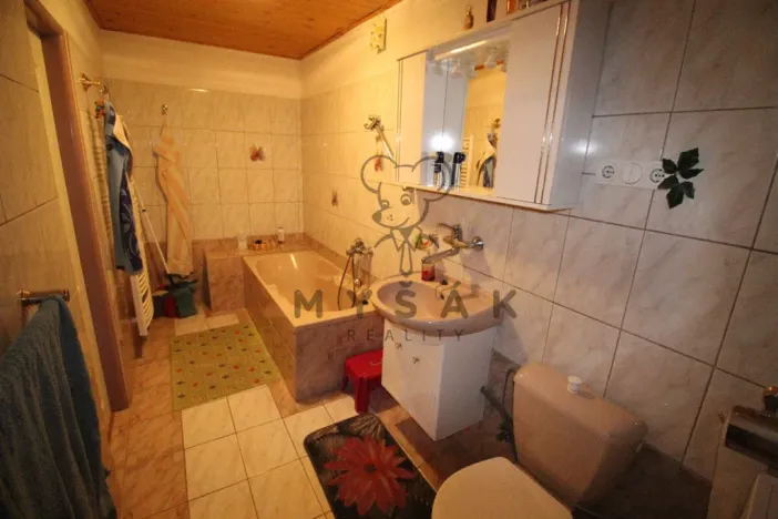 Pronájem pokoje, České Budějovice, Vl. Vančury, 25 m2