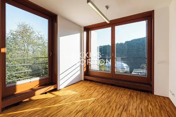 Pronájem bytu 6+kk a větší, Praha - Košíře, U Vojanky, 300 m2