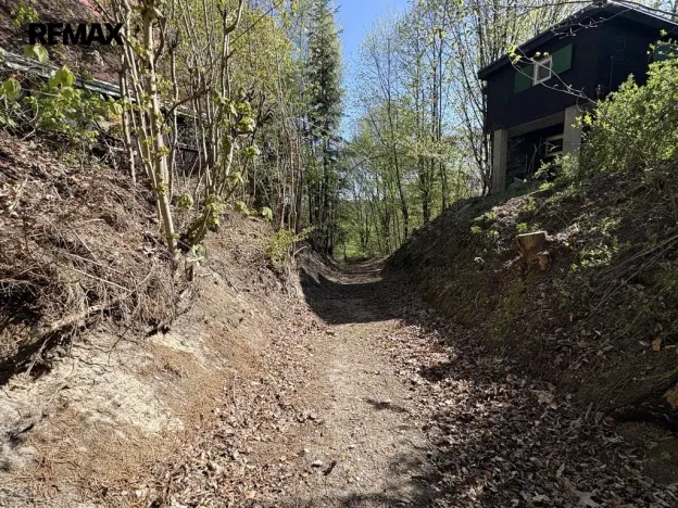 Prodej chaty, Týniště nad Orlicí - Štěpánovsko, 36 m2