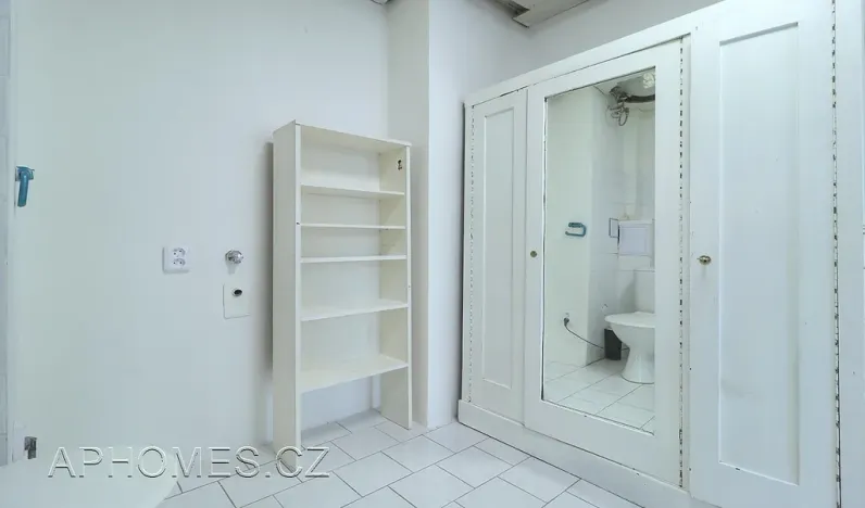 Pronájem bytu 1+kk, Praha - Nové Město, Na Moráni, 35 m2
