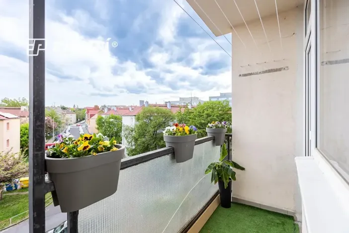Prodej bytu 2+1, Chomutov, Palackého, 62 m2