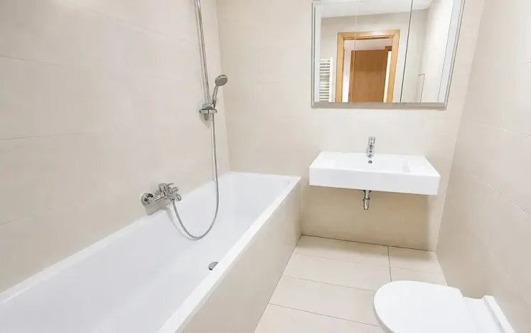Prodej bytu 2+kk, Praha - Žižkov, Ke kapslovně, 78 m2