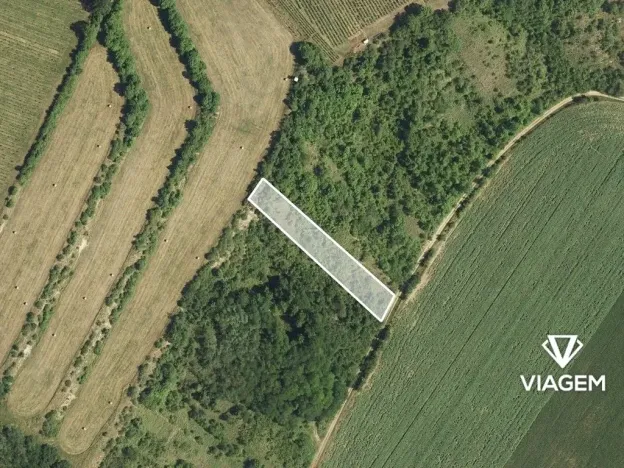 Prodej podílu louky, Kobylí, 1108 m2